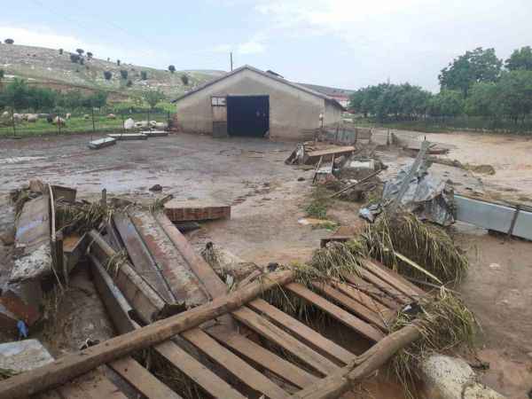 Elazığ’da sağanak yağış hayatı felç etti, 105 hayvan telef oldu