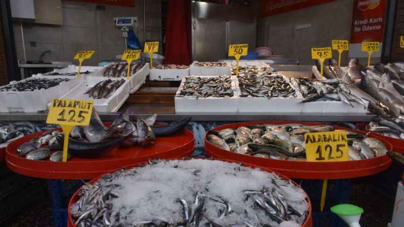 Trabzon'da balık fiyatları şaşkınlık yarattı...