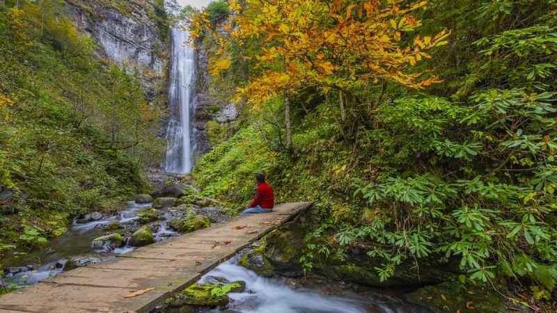 Artvin, Karagöl'ün büyüleyici görüntüsü!.. Görenleri hayrete düşürüyor... 