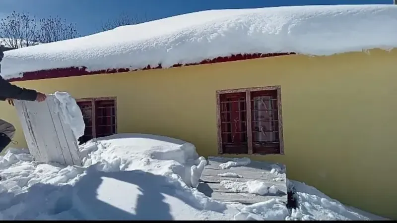 Sis Dağı'nda Ayılar, 40 Evi Yerle Bir Etti!