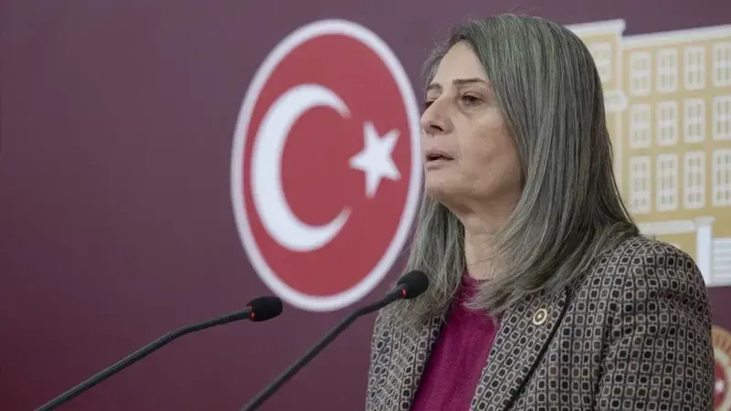 CHP Trabzon Milletvekili Sibel Suiçmez 