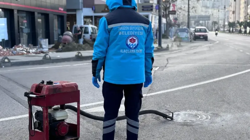 Trabzon'da yaz hazırlığı başladı! İlaçlama yapılıyor