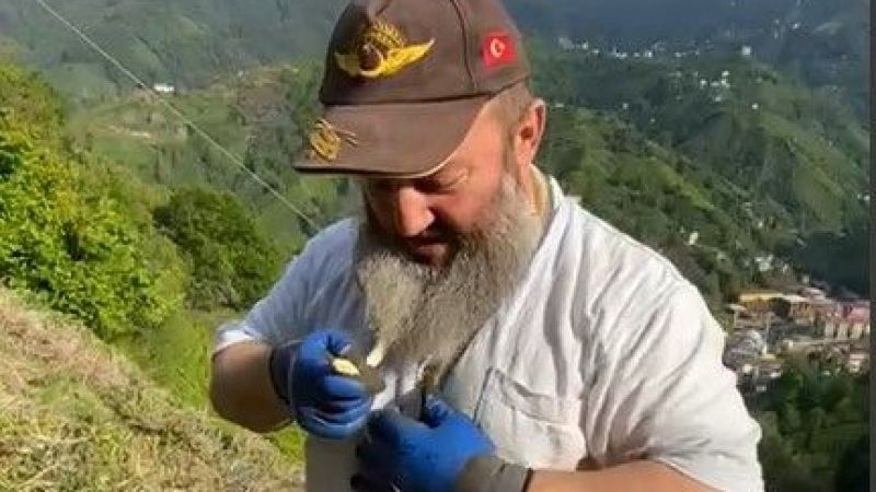 Rize'de çiftçi yılanı boynuna doladı! 