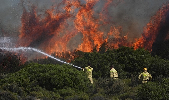 Foça’daki Orman Yangını Kontrol Altına Alındı, 4 Kişi Gözaltında