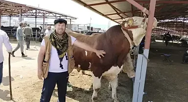 Kırşehir'de kurban pazarının en büyüğü 1 tonluk 'Paşa', 230 bin TL'den satıldı